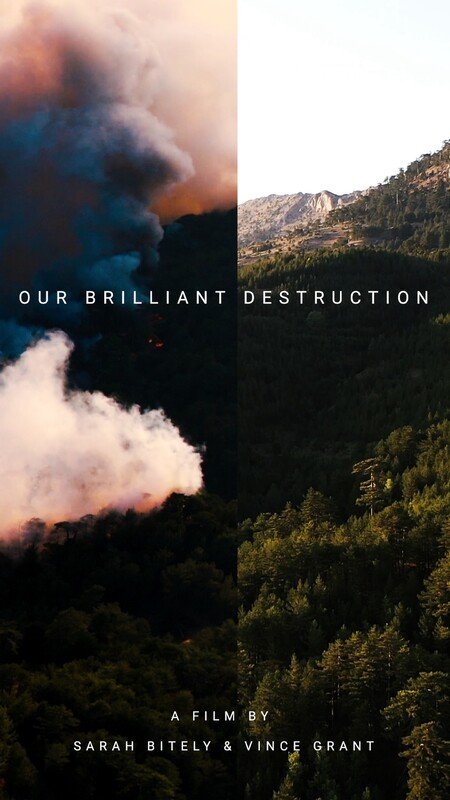 Our Brilliant Destruction